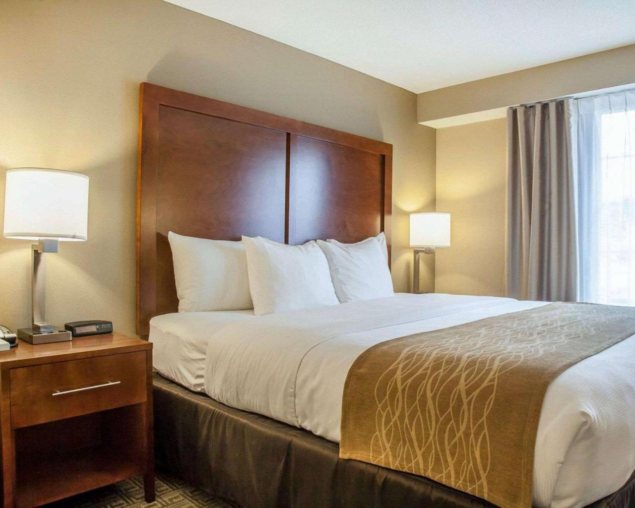 Comfort Inn & Suites Sturbridge-Brimfield Kültér fotó