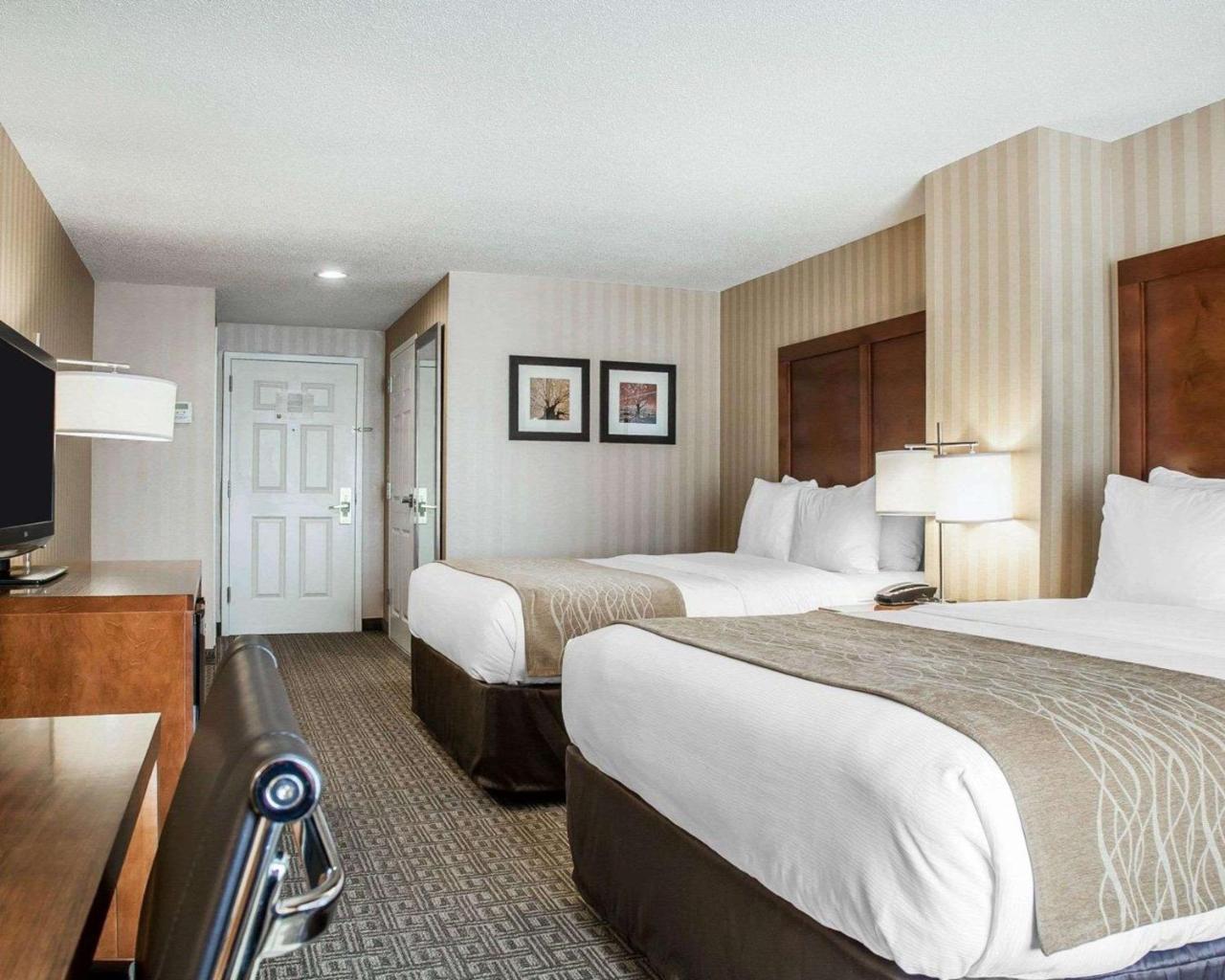 Comfort Inn & Suites Sturbridge-Brimfield Kültér fotó